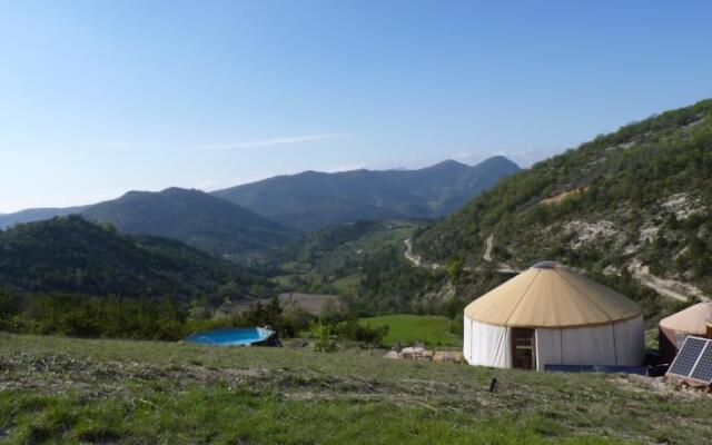Les Carlines du Grand Bois