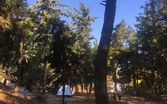 Drolma Ling Nature Cabins