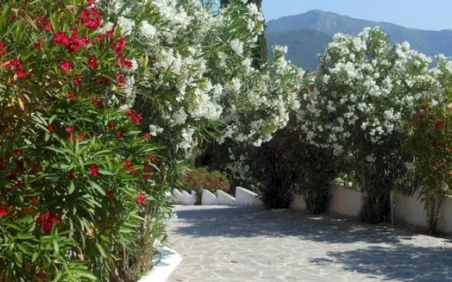 Ziogas Luxury Apartments