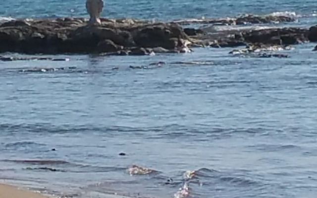 Sole Mare E Relax per Vacanze