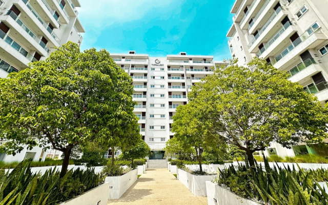 The Gallery Apartment