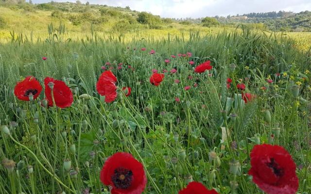 Hemdatya Stone Suites In The Galilee