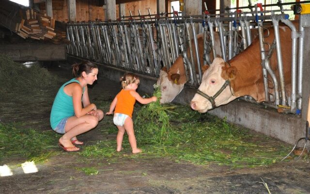 Urlaub am Bauernhof Gänser