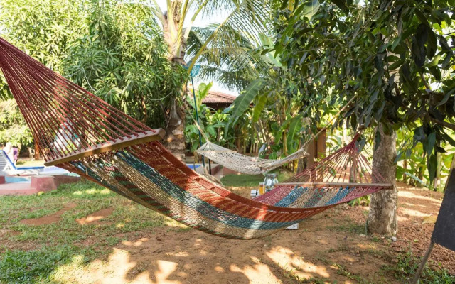 The Hammock Goa