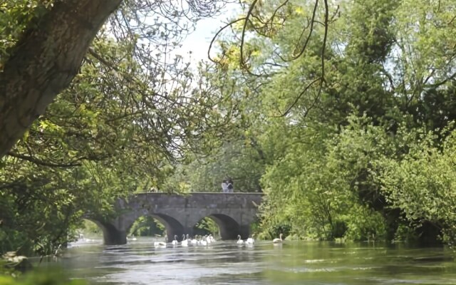 The Swan at Stoford
