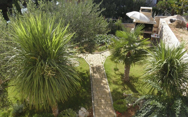 Jadro - 20 m From sea - A1