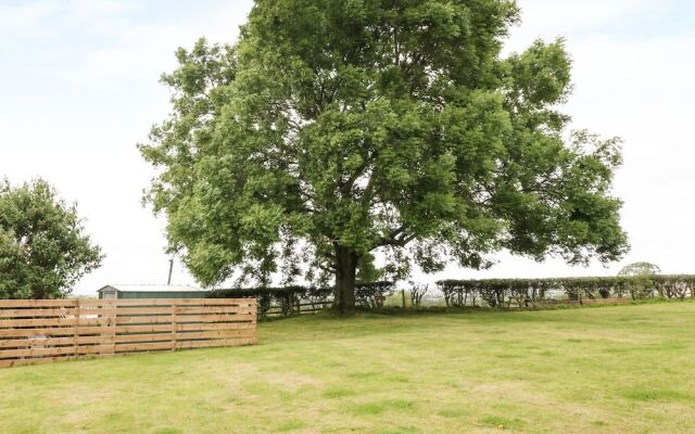 Pointer Dog House