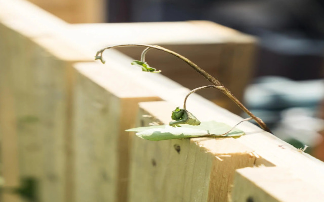 Jamsil Comestay MY - Double bed + Single bed Room