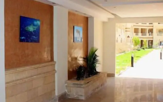 Florenza Khamsin Studio