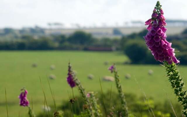 St. Tinney Farm