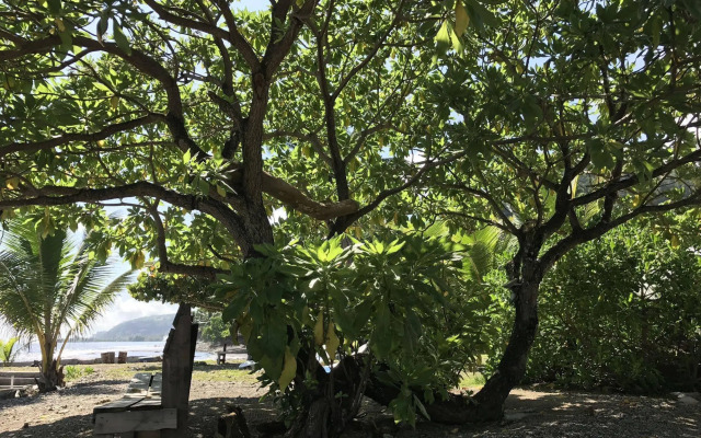 Punatea Village
