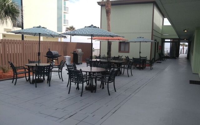 Organic Beach Retreat