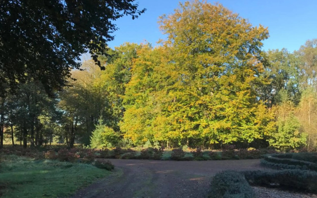 Romantisch Gastenverblijf 'Het Vogelhuisje'
