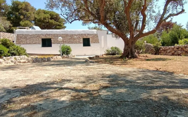 Scogliera del Gabbiano