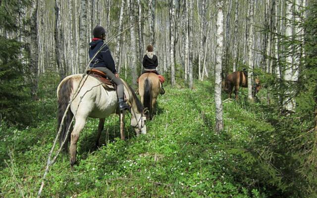 Älvkarleby Turist & Konferenshotell