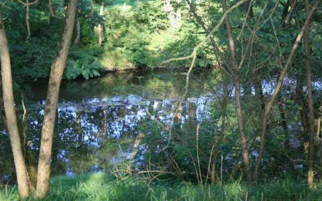 Le Moulin du Cluzeau