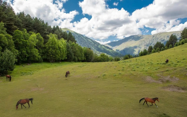 Hotel Tusheti