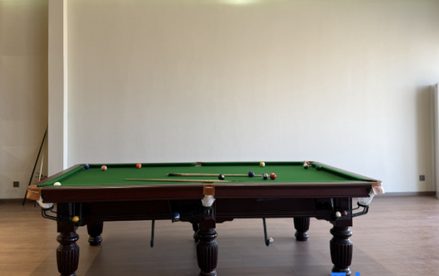 Zhongwei Camel Bells Homestay (Shapotou Scenic Area) – Entertainment – Zhongwei