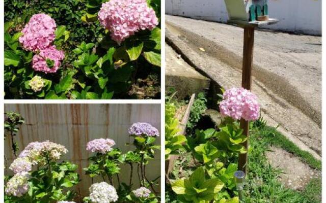 Pousada das Hortensias