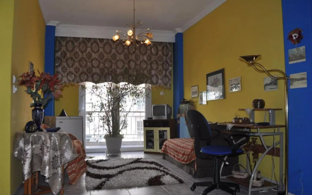 Spacious Apartment