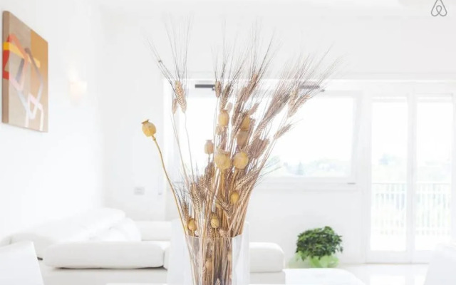 Cappucci Home Holidays