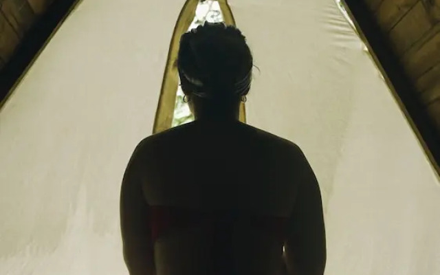 Tigrillo Rio Claroby LosColoresEcoparque