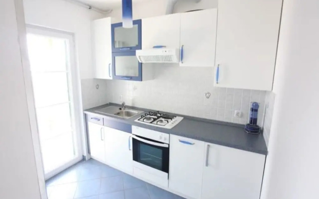 Viola - With Pool - A6