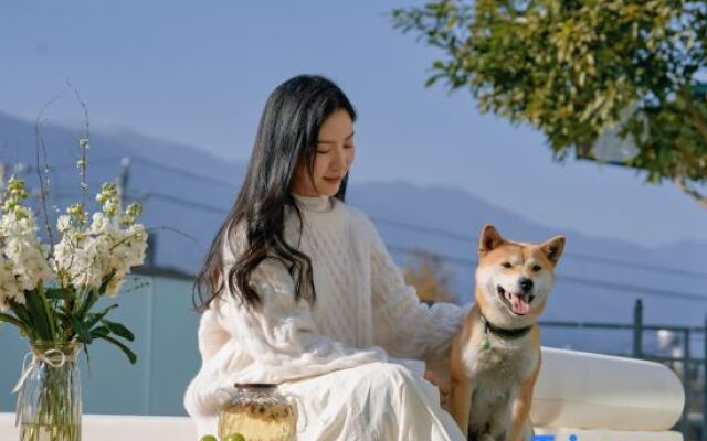 Dali Molv Shanshe Smart Homestay