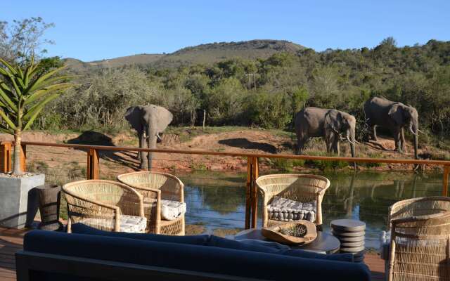 Barefoot Addo Elephant Lodge