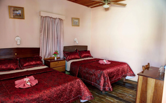 Tropical Paradise Hotel
