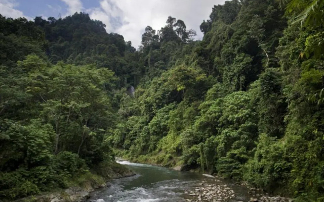 Eriono Guest House Bukit Lawang