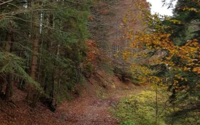 Apartament Eric, Busteni