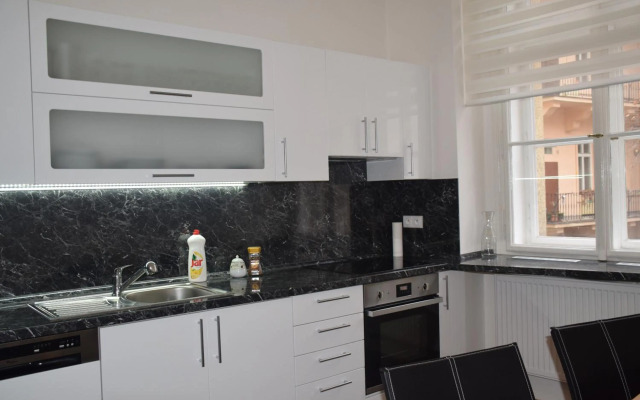 Tiva Downtown Apartments