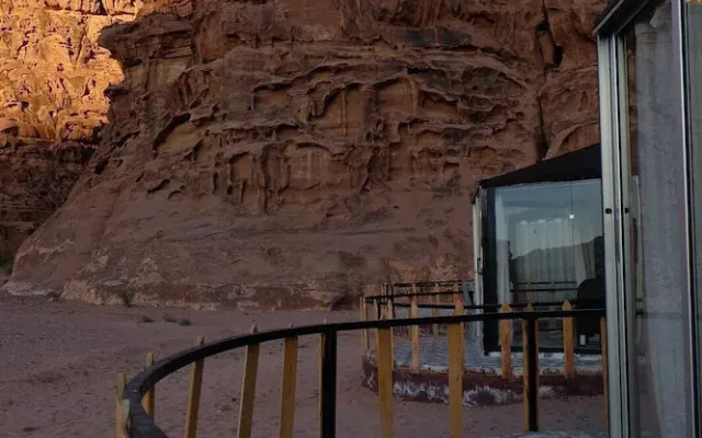 Desert tree camp