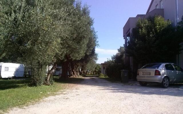 Apartments Maslina