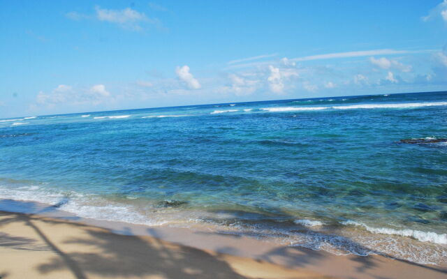 Beach House