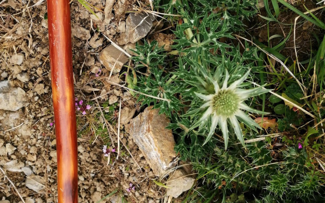 Logis Hotel Xoko-Goxoa