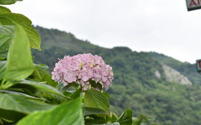 Hotel Alto Sella