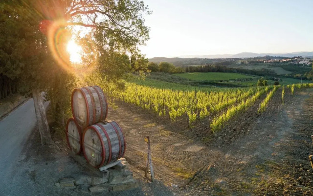 Vigna Home Amazing Site Chianti Classico