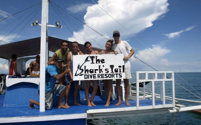 The Sharks Tail Dive Resort