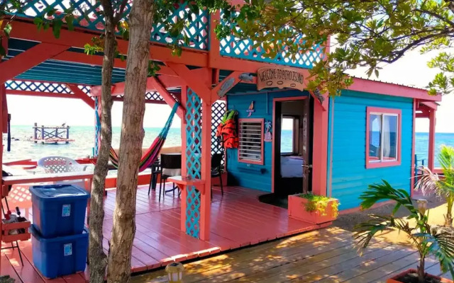 Bird Island Placencia