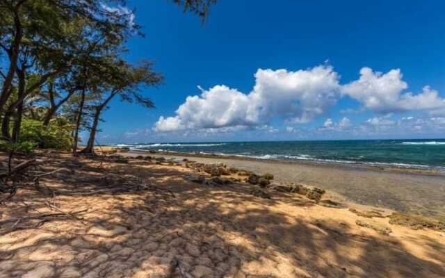 Hale Koaniani - 3 Br Home