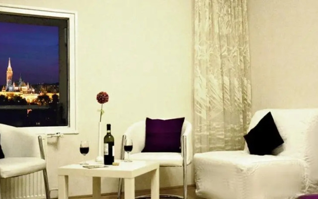 Castle and Danube Panorama