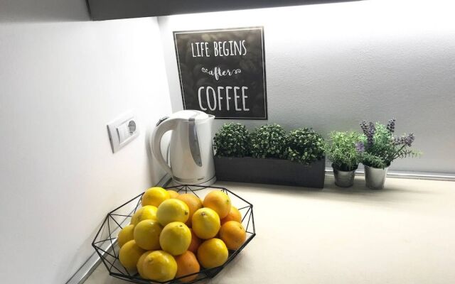 Apartment Andrea L Pula