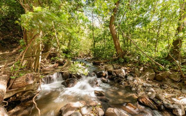 Borinquen Mountain Resort Hotel