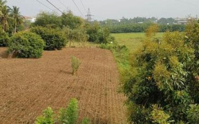 Coca Cola Hostel Malabe