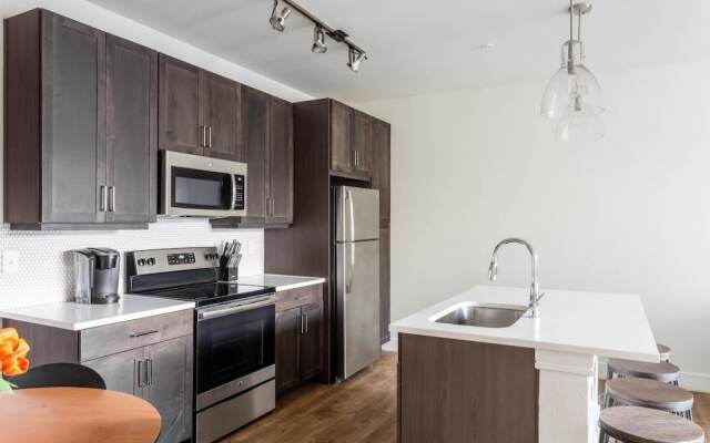 Dallas Stylish 1BD 1BA Apartment