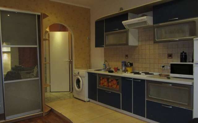 Old Flat Apartments Degtyarniy