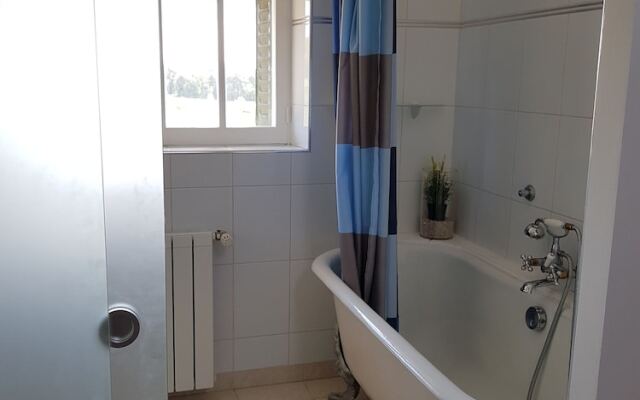 Les Camélias des Demoiselles de Pallus