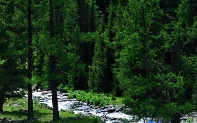 Shanyu Linxi · Baihualin View, Medieval Aesthetics Coffee Resort Homestay (Hemu Old Village Branch) – Outside – Altay